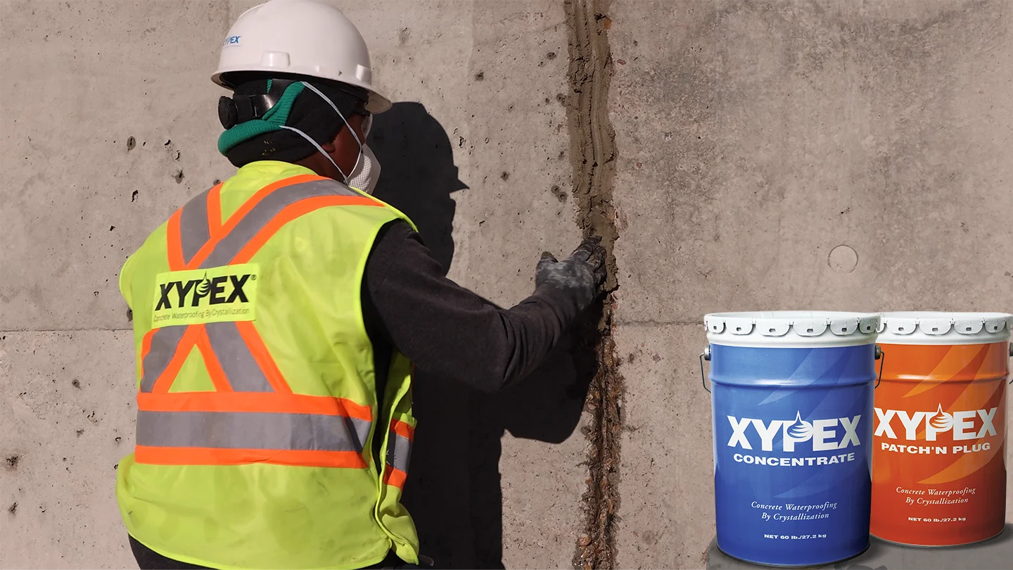XYPEX CONCENTRATE CHÍNH HÃNG HỒ CHÍ MINH