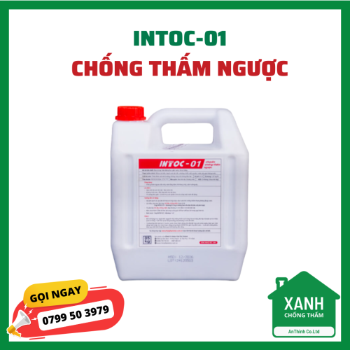 INTOC-01 – Chống Thấm Ngược