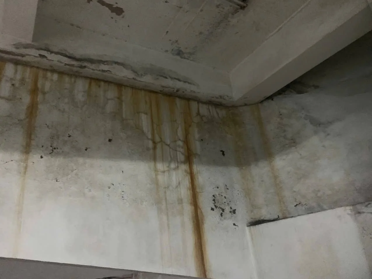 Tường tầng hầm bị thấm dột, loang lổ, nứt nẻ và ẩm mốc